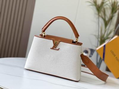 LV Handbags 644